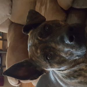 Meet your Posher, Jack